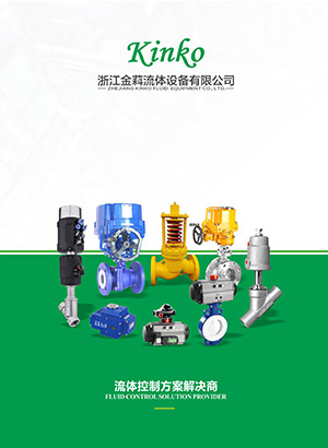 Corporate promotional brochure