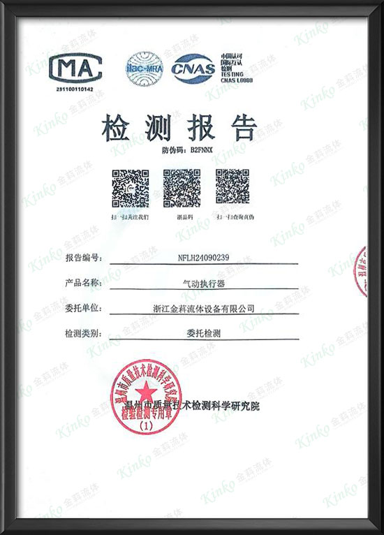 Pneumatic actuator IP68 qualification -1