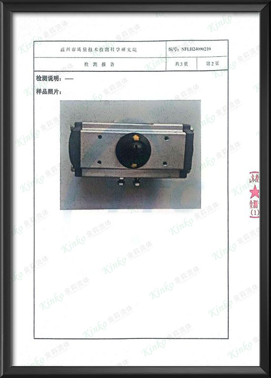 Pneumatic actuator IP68 certification -3